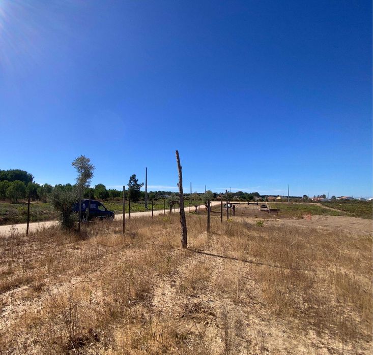 Terreno Rústico com Poço + Possibilidade Anexo | 4.900 m² | Alpiarça