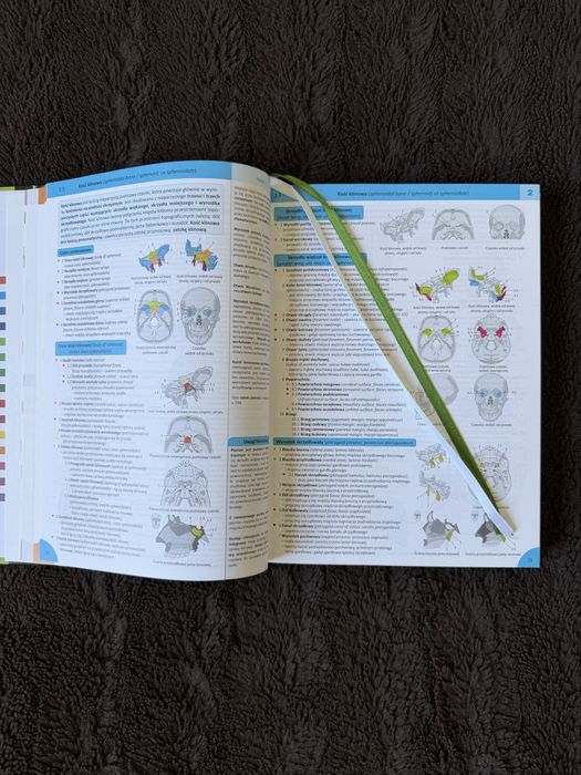 Memorix Anatomia - atlas