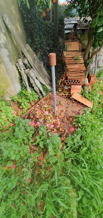 Prensa Manual Tradicional para Vinho / Uvas (Completa)