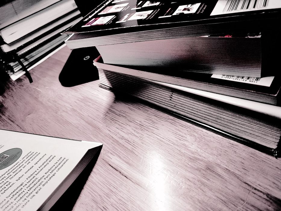 Korepetycje z języka polskiego/ konsultacje pedagogiczne dla rodziców