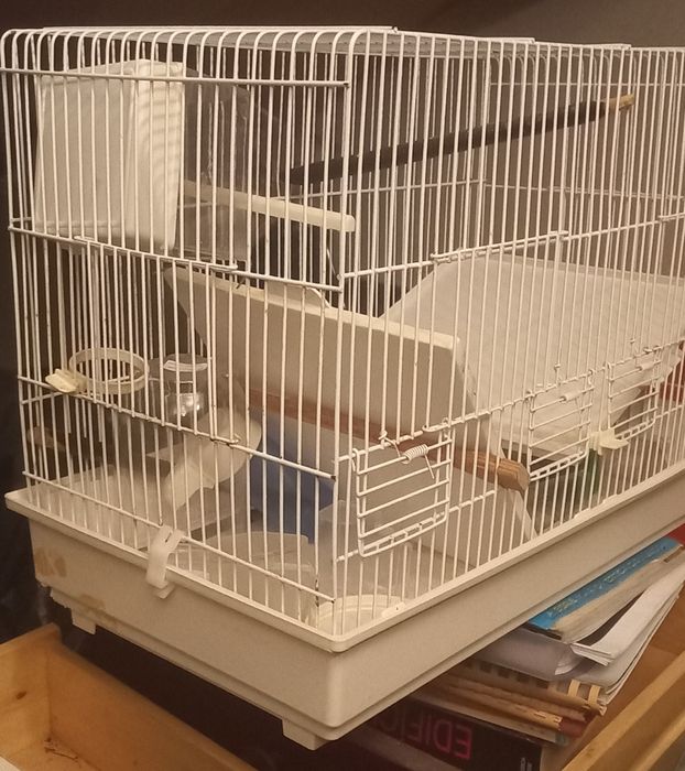 Gaiola para passaros com acessorios