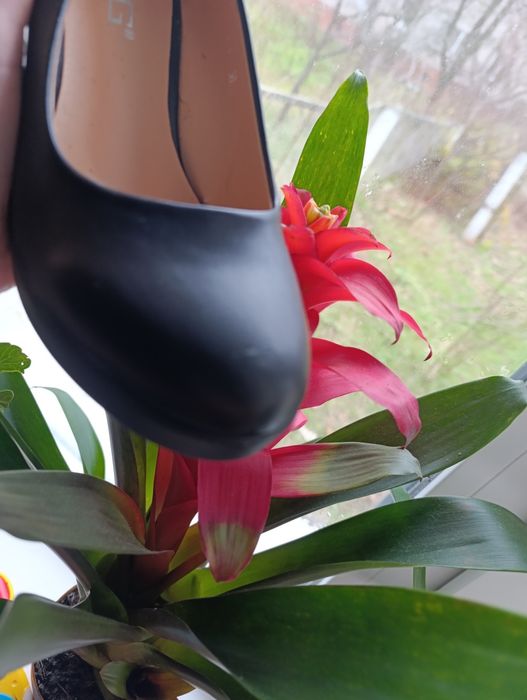 Туфлі човники 38 розмір