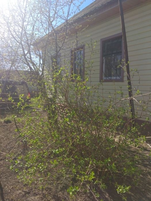 Продам дом с участком