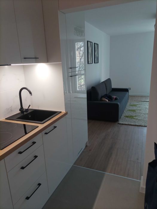 Mieszkanie na wynajem. Apartment for rent