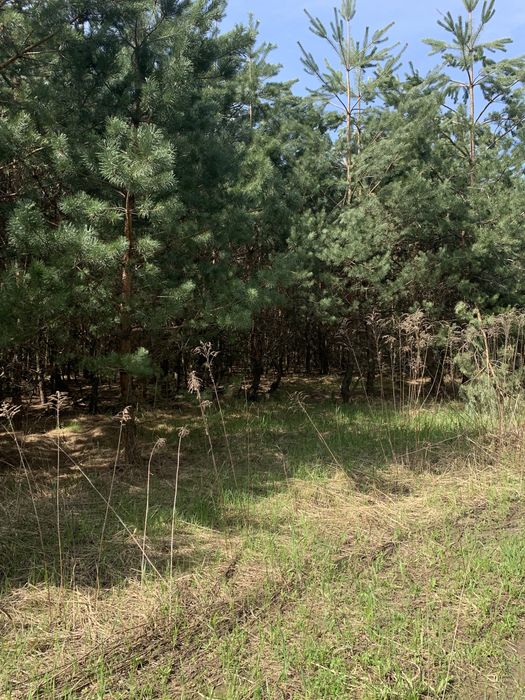 Продам Земельные участки 10 соток, ЖК Ясный, с.Ясногородка 30кмКиев