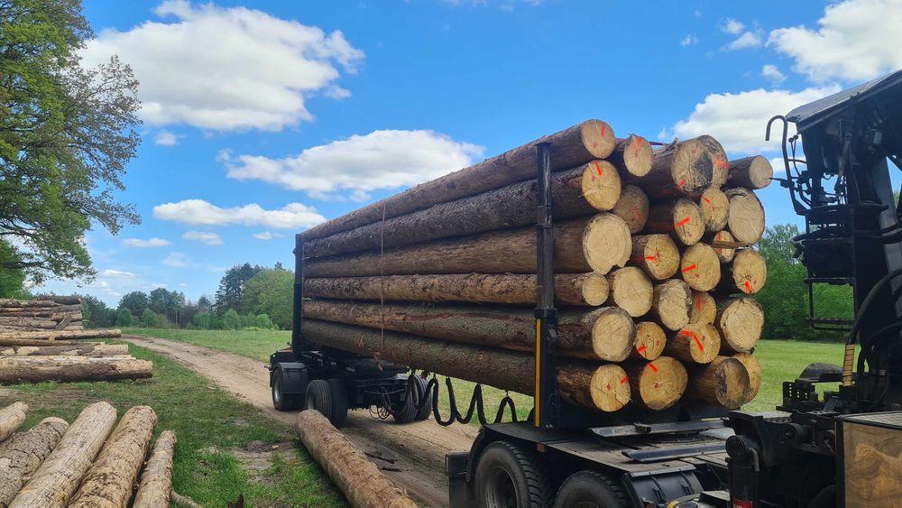 Drewno Tartaczne oraz paletowe