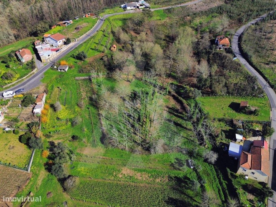 Terreno em Jafafe - Macinhata do Vouga