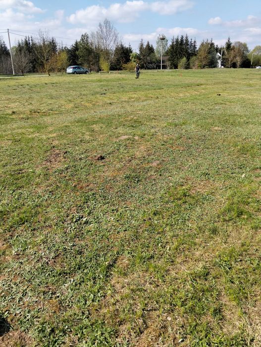 Działka budowlana 1501 m² | WZ bez terminu | Ogrodzona | Niedźwiedzie | 99 000 zł - Widok 2