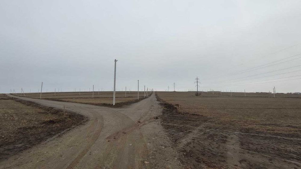 Продам ділянку Озерна Дехтярка