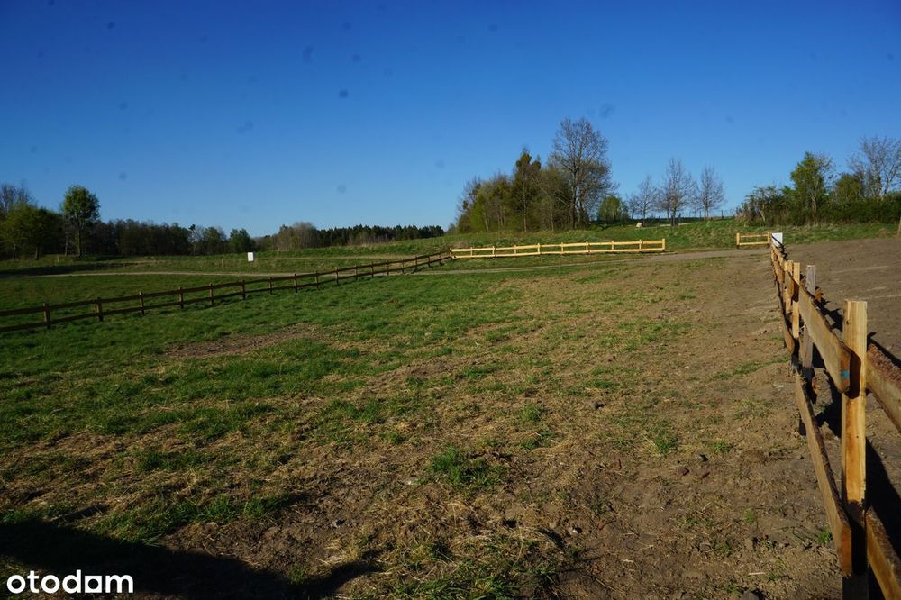 Działka marzeń na wsi-sielskie otoczenie - Widok 6