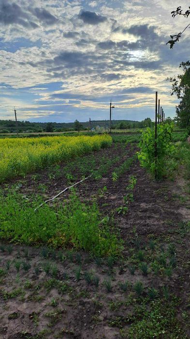 Продам житловий будинок в с. Перемога