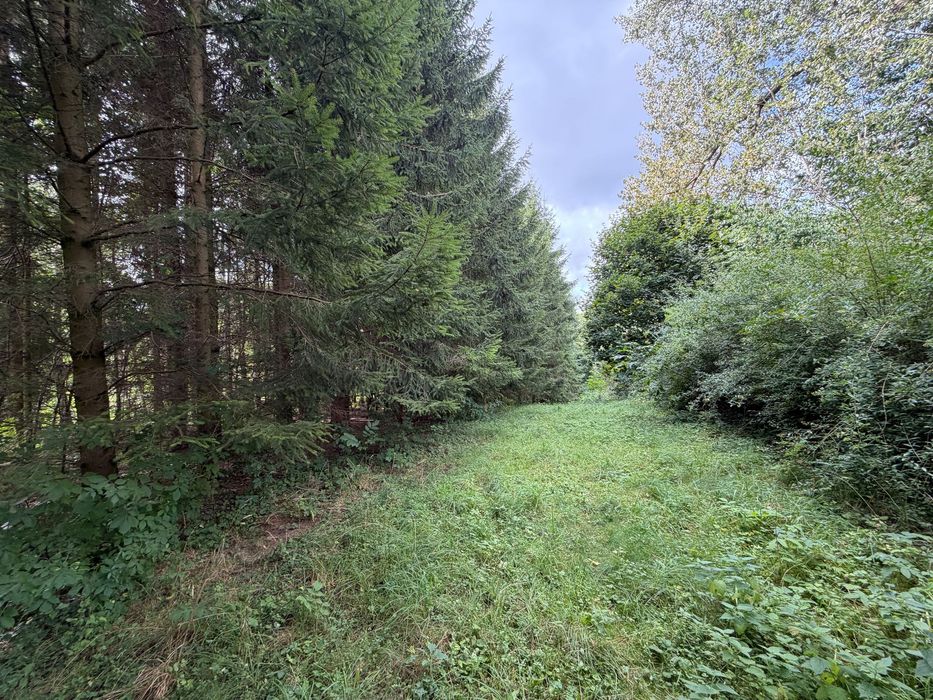 Dom – Rydzewo - Widok 3