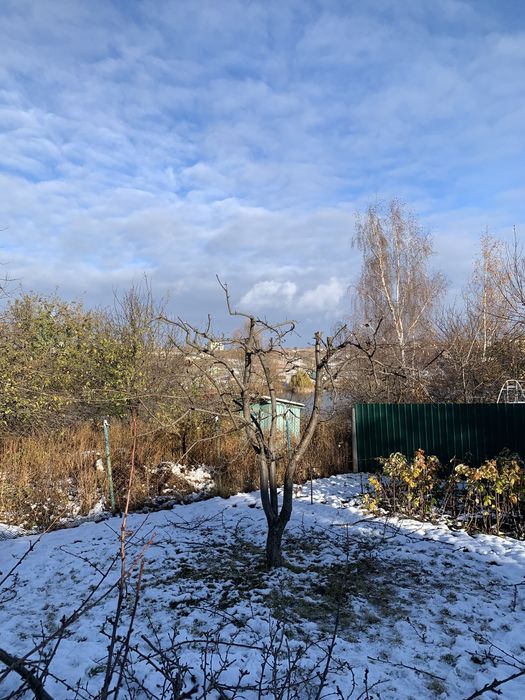 Обрезка плодовых деревьев