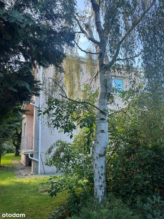 Dom – Gałków Duży, Czatolin - Widok 4
