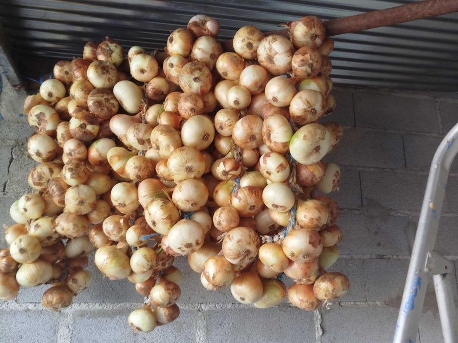 Batatas e cebolas