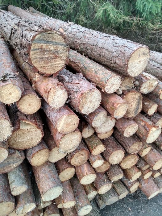 Słupki drewniane pod ogrodzenie sosna 5,50 zł. sztuka