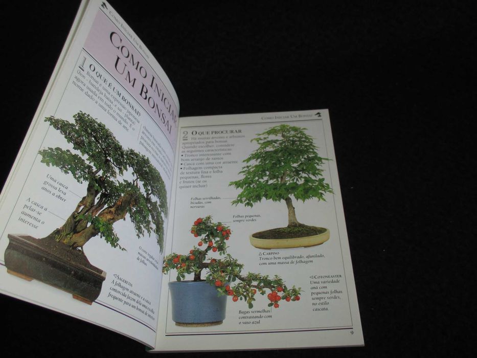 Livro Bonsai Harry Tomlinson 101 Sugestões 1996
