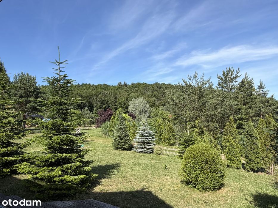 Działka 2019 m² z Domem 380 m² | Prestiżowe Bernadowo – Sopot - Widok 2