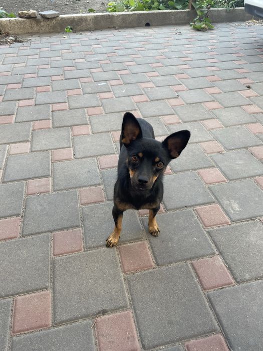 Выкинули в поле с детьми