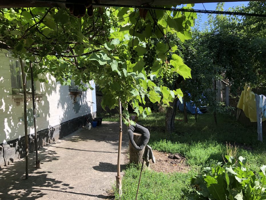 Будинок в с. Розкошівка