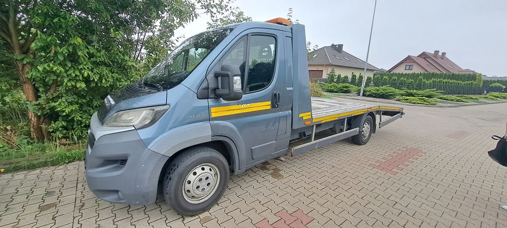 Przeprowadzki transport Dębno