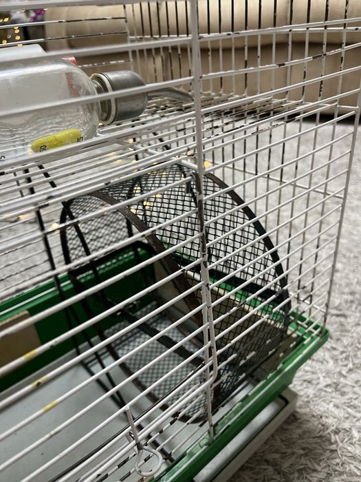 Большая клетка для грызонов, клетка для грызуна.