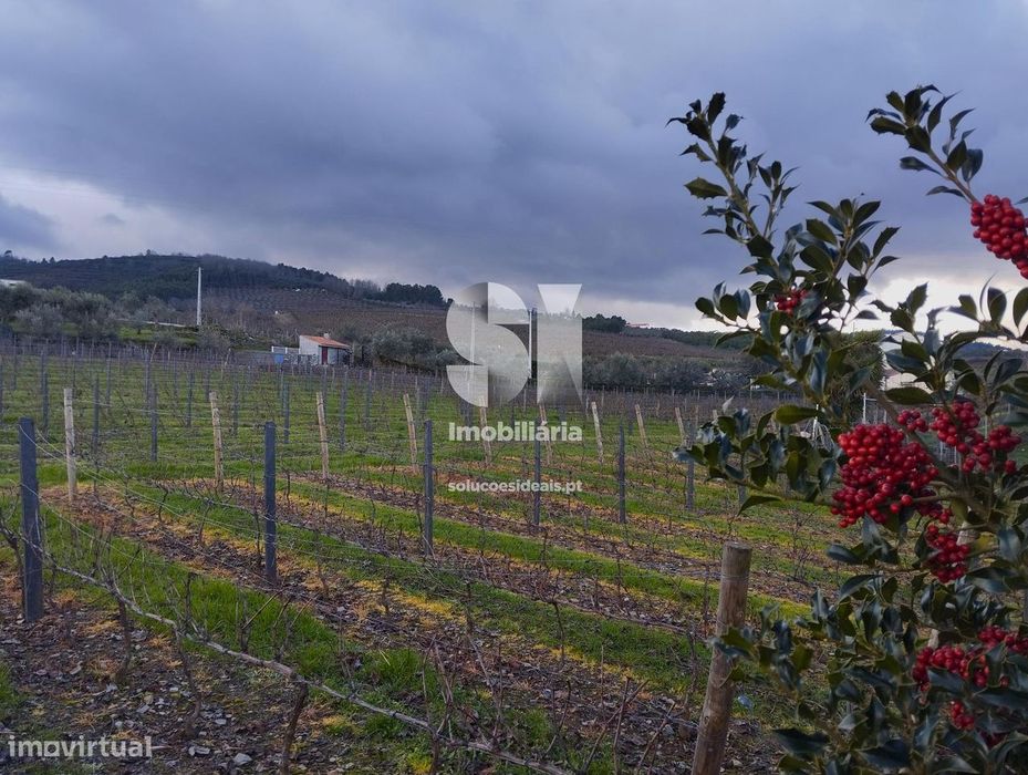 Terreno Rústico Urbanizável