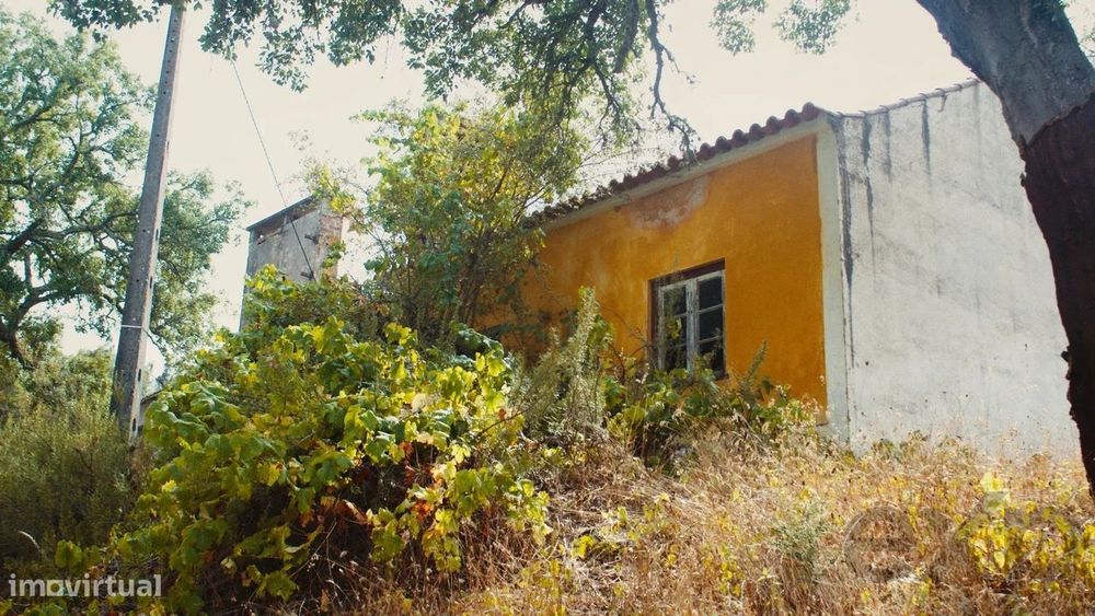 Quinta Florestal de 12,5 Hectares com Casa de Lavrador Centenária em B