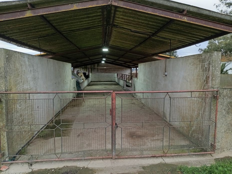 Armazém e Espaço Exterior