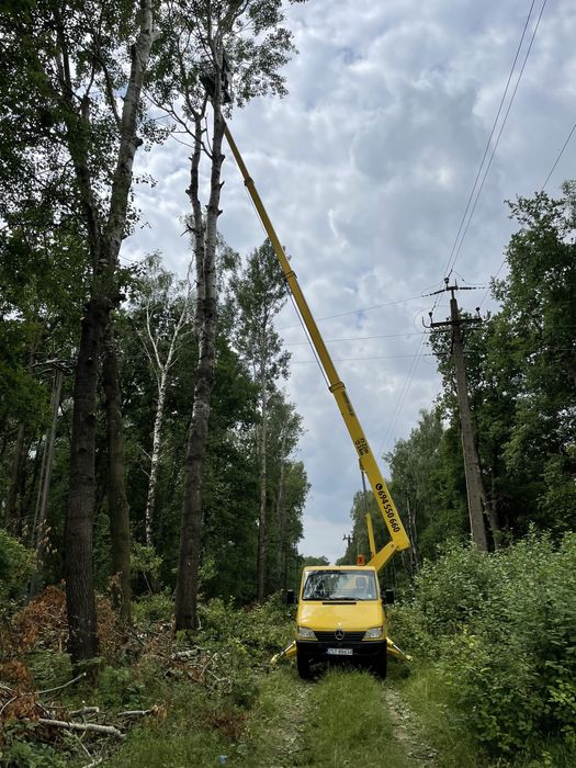 Podnośnik koszowy WYNAJEM zwyżka 22 m  usługi wysokościowe