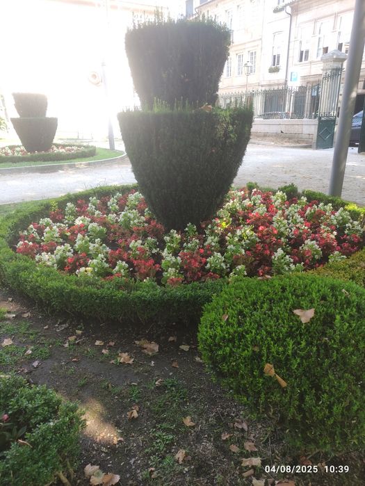 Limpezas em  moradia, apartamento em CHAVES