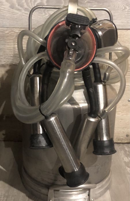 Ведро ( доильного аппарата)