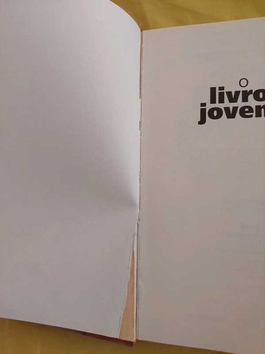 O Livro das Jovens