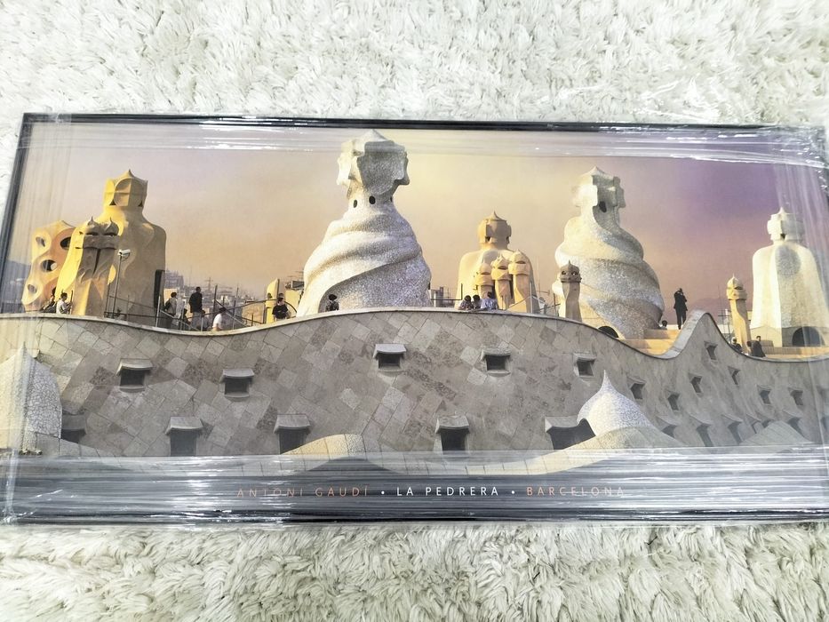 Quadro fotografia Gaudí - La Pedrera NOVO