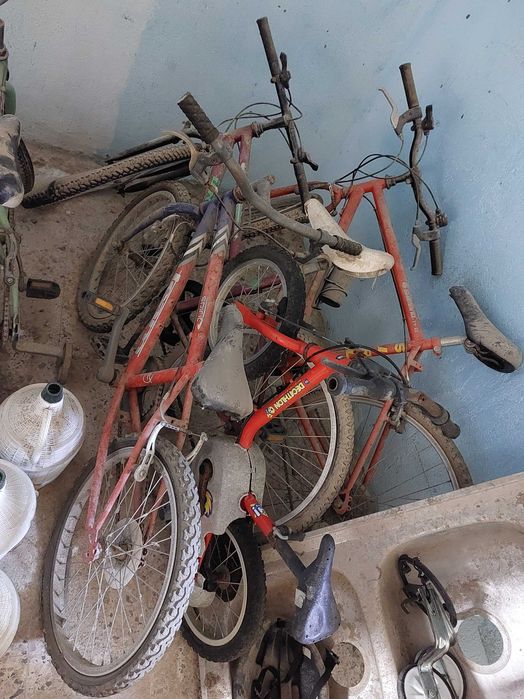Várias Bicicletas