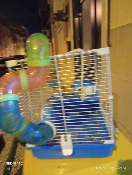Gaiola grande para hamster com acessórios completos