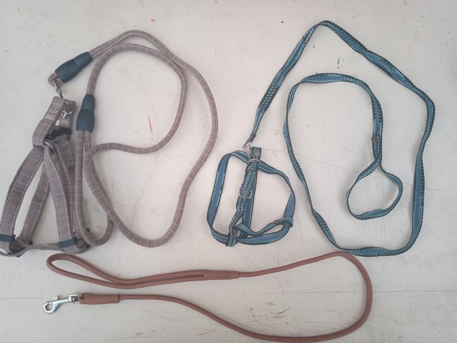 Подстилка для кошек, ошейники, поводки, намордник, игрушки для кошек.