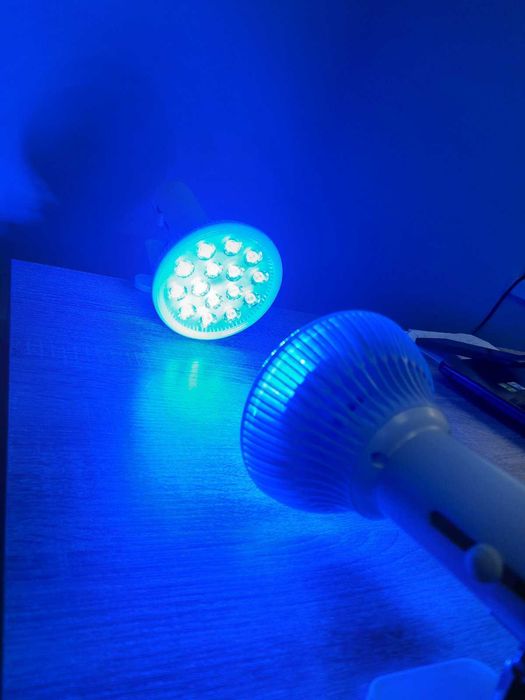 Прокат комплекта(2шт) LED фотоламп на прищепке для лечения желтушки