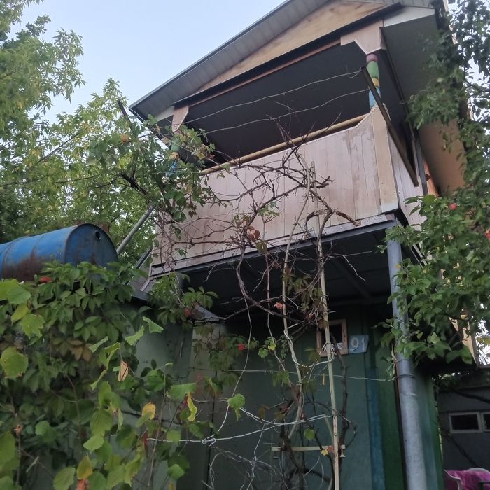 Сдам домик.Остров Великий