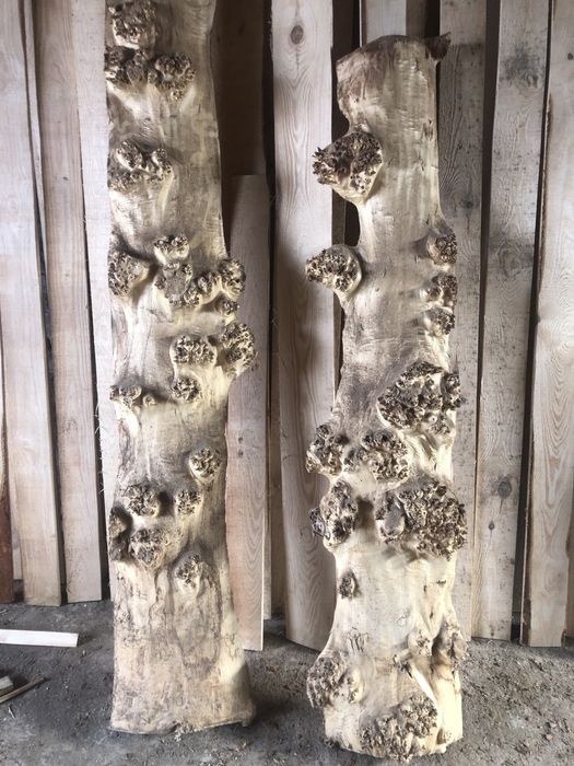 Продам Кап Слеб Зріз