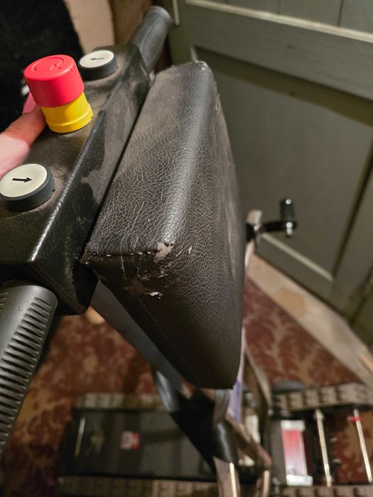 Schodołaz gąsiennicowy