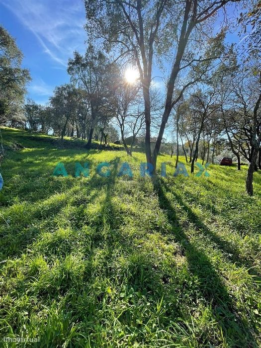 ANG1540 - Terreno para Venda em Alviobeira, Tomar