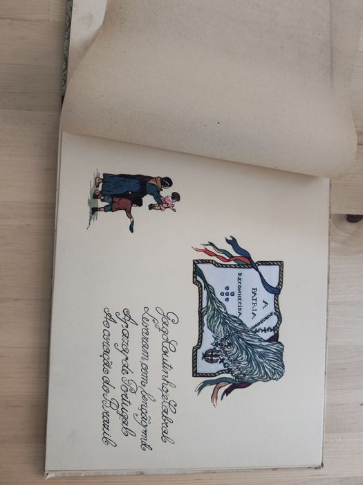Livro A viagem maravilhosa de Gago Coutinho e Sacadura Cabral