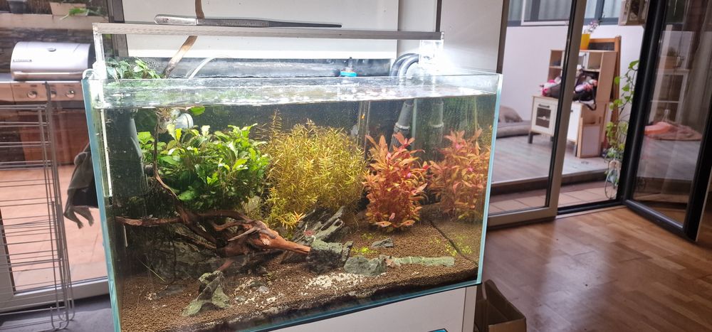 Aquário 80x40 kit completo
