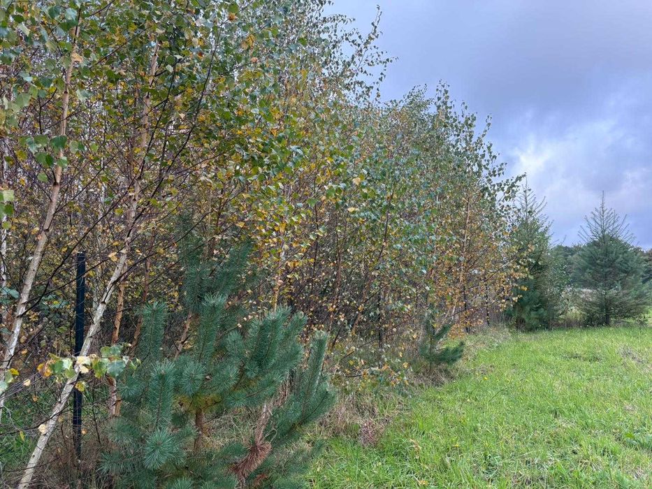 Działka budowlana nad jeziorem