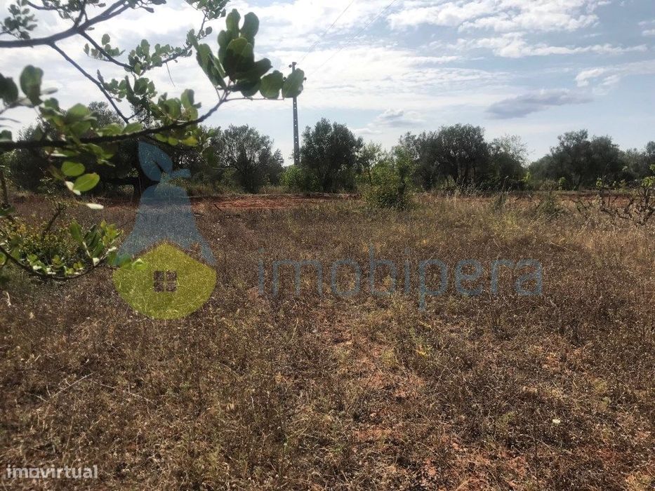 Terreno Rústico Com Alfarrobeiras Perto Da Ribeira