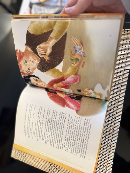 Livro infantil O Macaco de Rabo Cortado