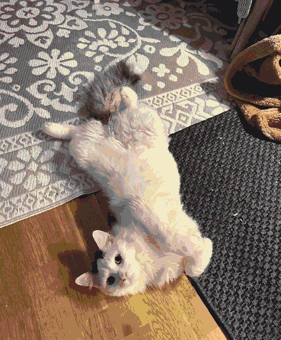 Картина за номерами, Картини по номерах за власним фото