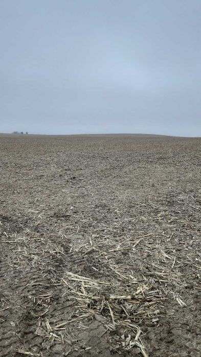 Земельна ділянка під ОСГ пл. 2,0 га с. Вороньків Бориспільський р-н