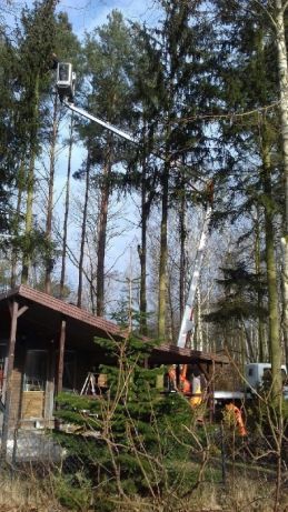 Wycinanie drzew, rozdrabniacz do gałęzi, frezowanie pni, podnośnik